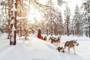 LAPONIE/FINLANDE : "Magie Boréale" (p.300 &amp; 301)