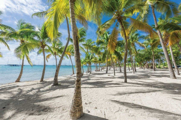 GUADELOUPE - Gosier (page 309)