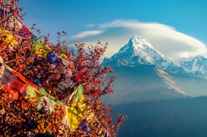 NEPAL - 